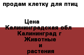 продам клетку для птиц › Цена ­ 500 - Калининградская обл., Калининград г. Животные и растения » Аксесcуары и товары для животных   . Калининградская обл.